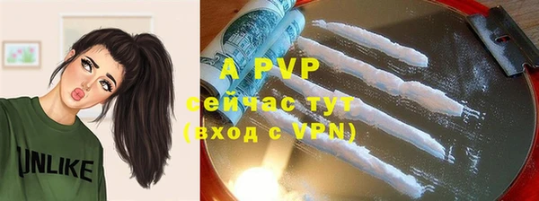 индика Волосово