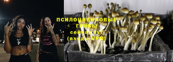 синтетический гашиш Вяземский