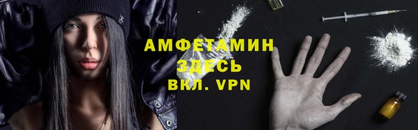 индика Волосово
