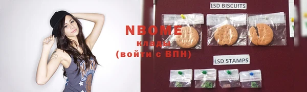 индика Волосово