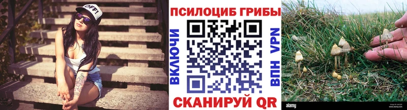 Псилоцибиновые грибы Psilocybe  купить   MEGA tor  Северск 