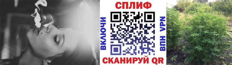 Каннабис тримм  OMG ONION  Северск 